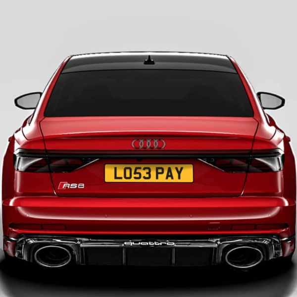PRIVATE NUMBER PLATE  ( LOSE PAY )