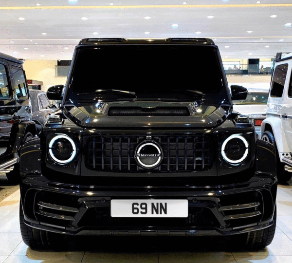 PRIVATE NUMBER PLATE ( 69 NN )
