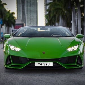 PRIVATE NUMBER PLATE ( YA SVJ )