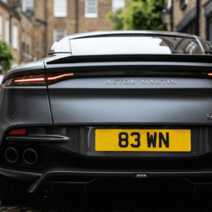 PRIVATE NUMBER PLATE ( 83 WN )